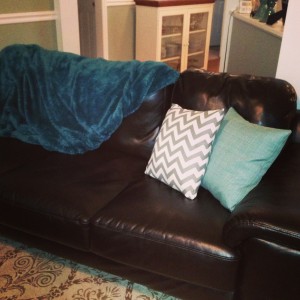 pillows craft project sewing sew handmade homemade stephanie hughes stolen colon crohns ostomy blog