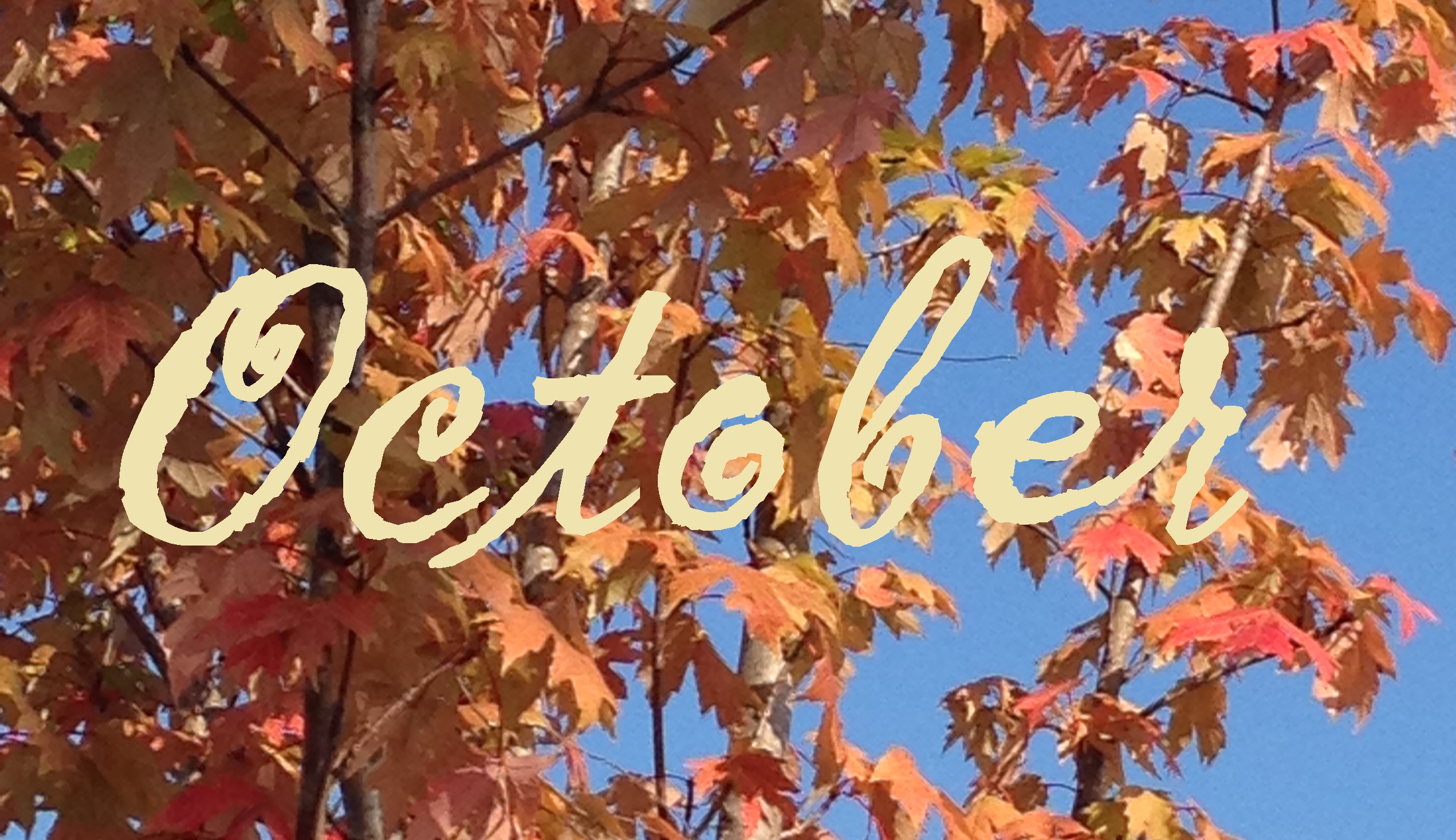 october fall monthly goals stephanie hughes stolen colon crohn's colitis ostomy ileostomy blog