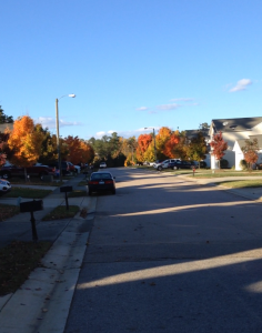 fall autumn run exercise training stephanie hughes stolen colon crohn's ostomy colitis blog