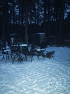 winter wonderland snow cold freezing stephanie hughes stolen colon crohn's disease ulcerative colitis inflammatory bowel disease ibd ostomy blog