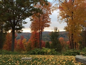 binghamton ny fall