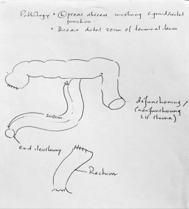 new anatomy from consultant